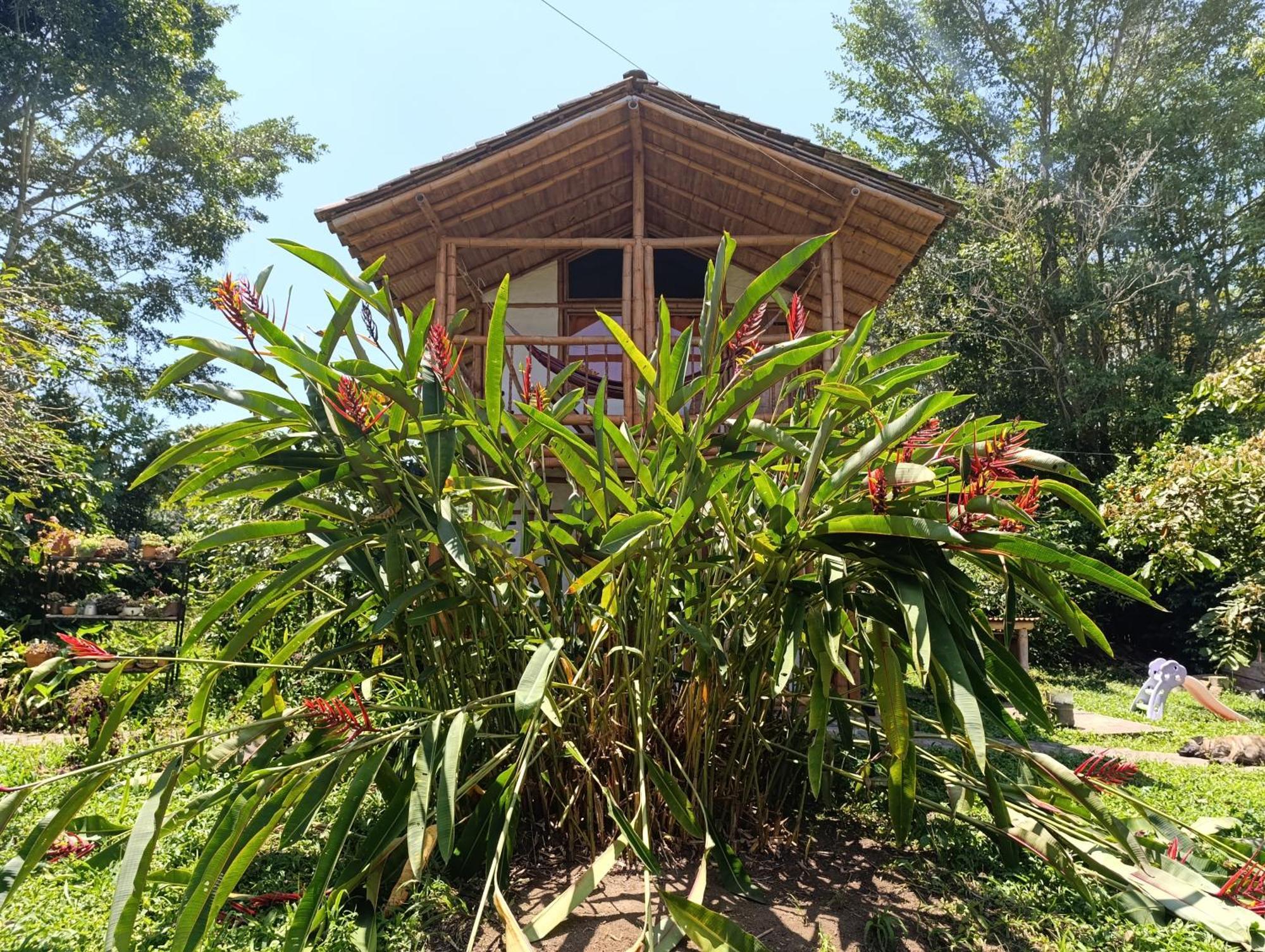 Finca Cometa Villa San Agustín Exterior foto