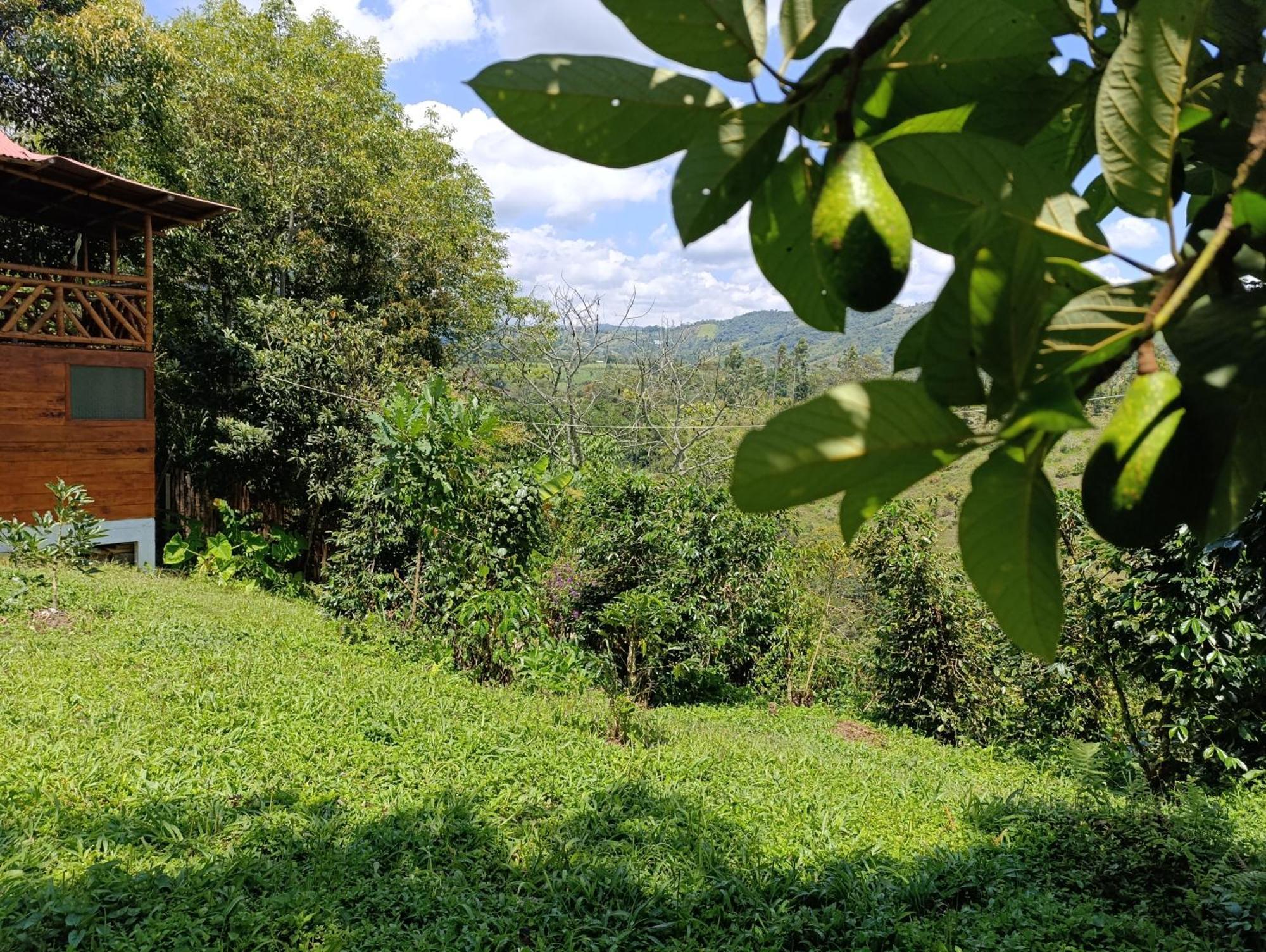 Finca Cometa Villa San Agustín Exterior foto